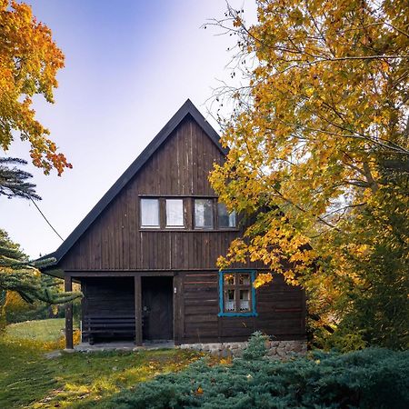 Dom Pod Klonem Na Kaszubach Villa Kościerzyna Exteriör bild