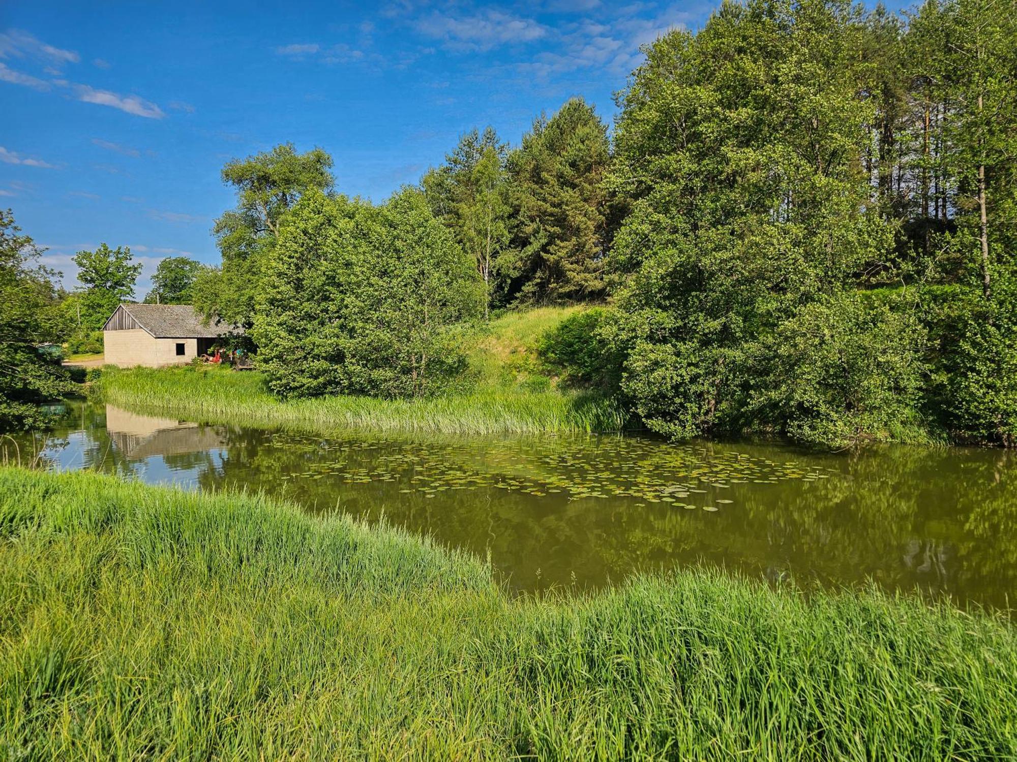 Dom Pod Klonem Na Kaszubach Villa Kościerzyna Exteriör bild
