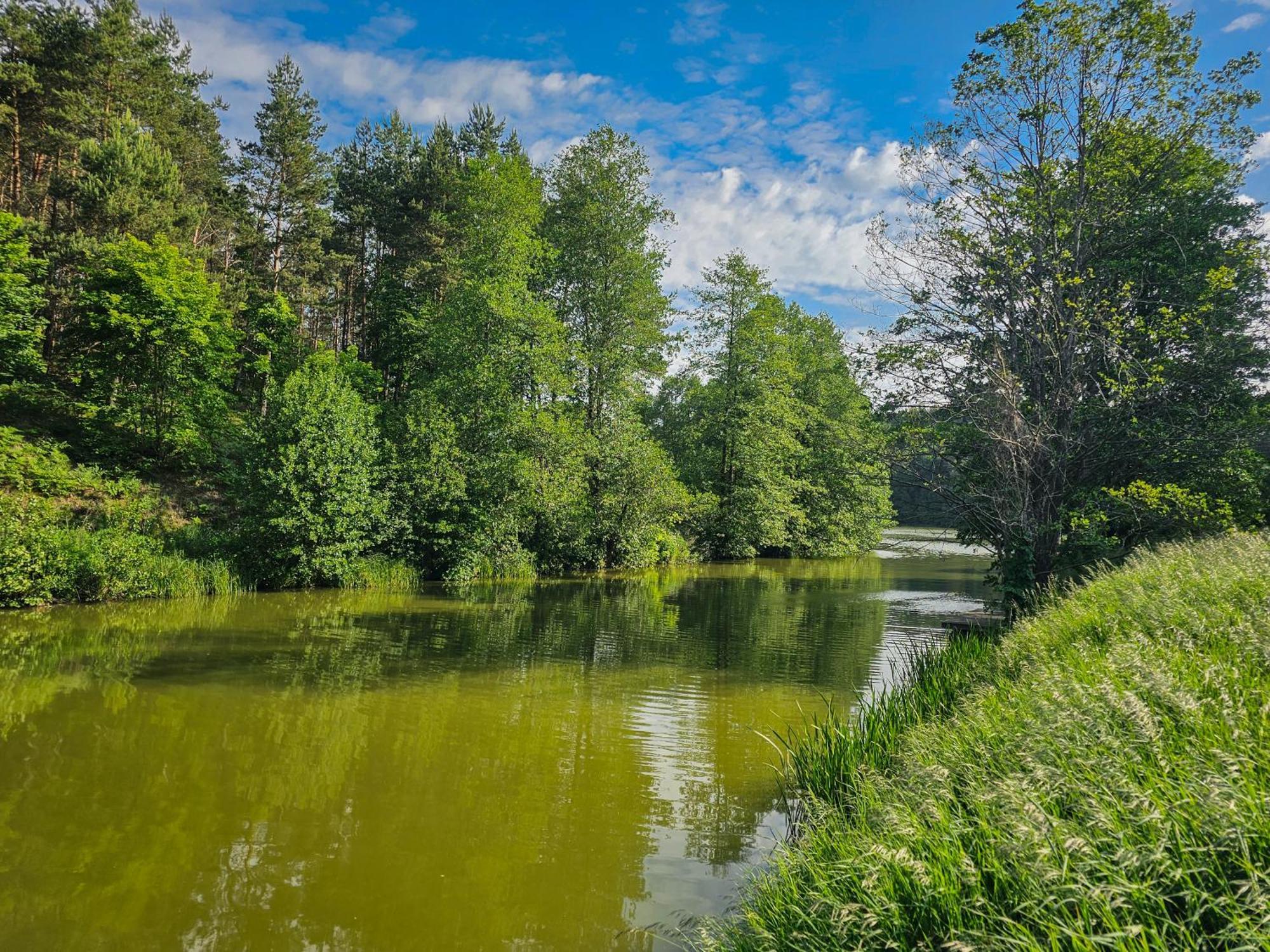 Dom Pod Klonem Na Kaszubach Villa Kościerzyna Exteriör bild