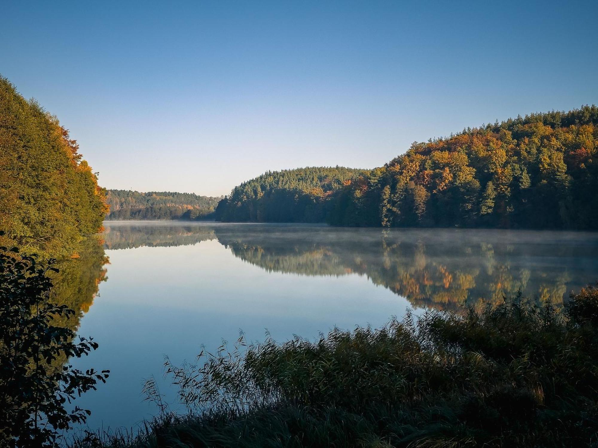 Dom Pod Klonem Na Kaszubach Villa Kościerzyna Exteriör bild