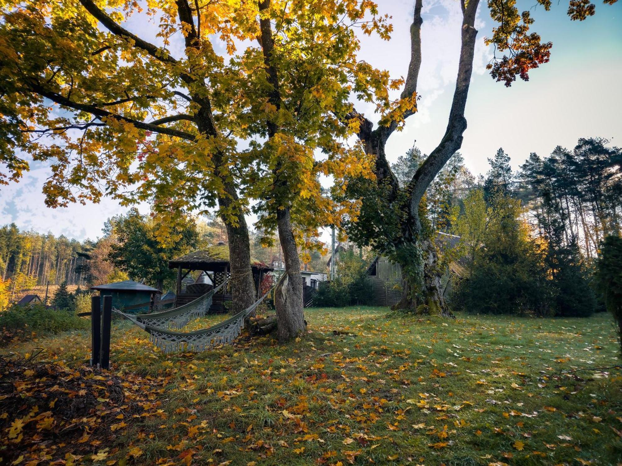 Dom Pod Klonem Na Kaszubach Villa Kościerzyna Exteriör bild