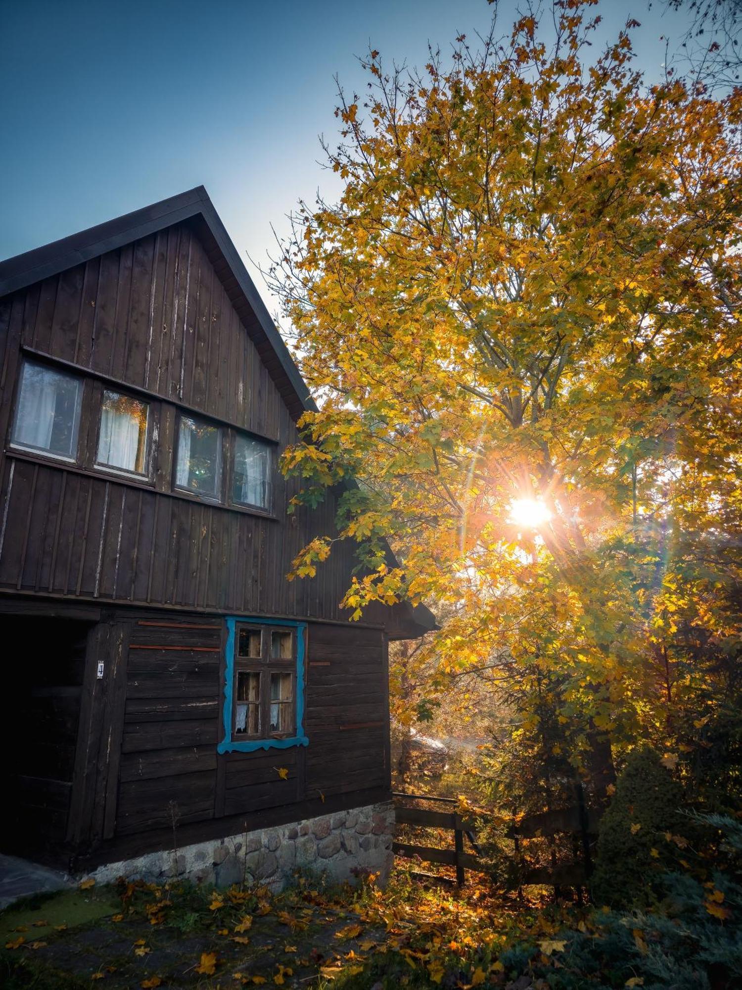 Dom Pod Klonem Na Kaszubach Villa Kościerzyna Exteriör bild