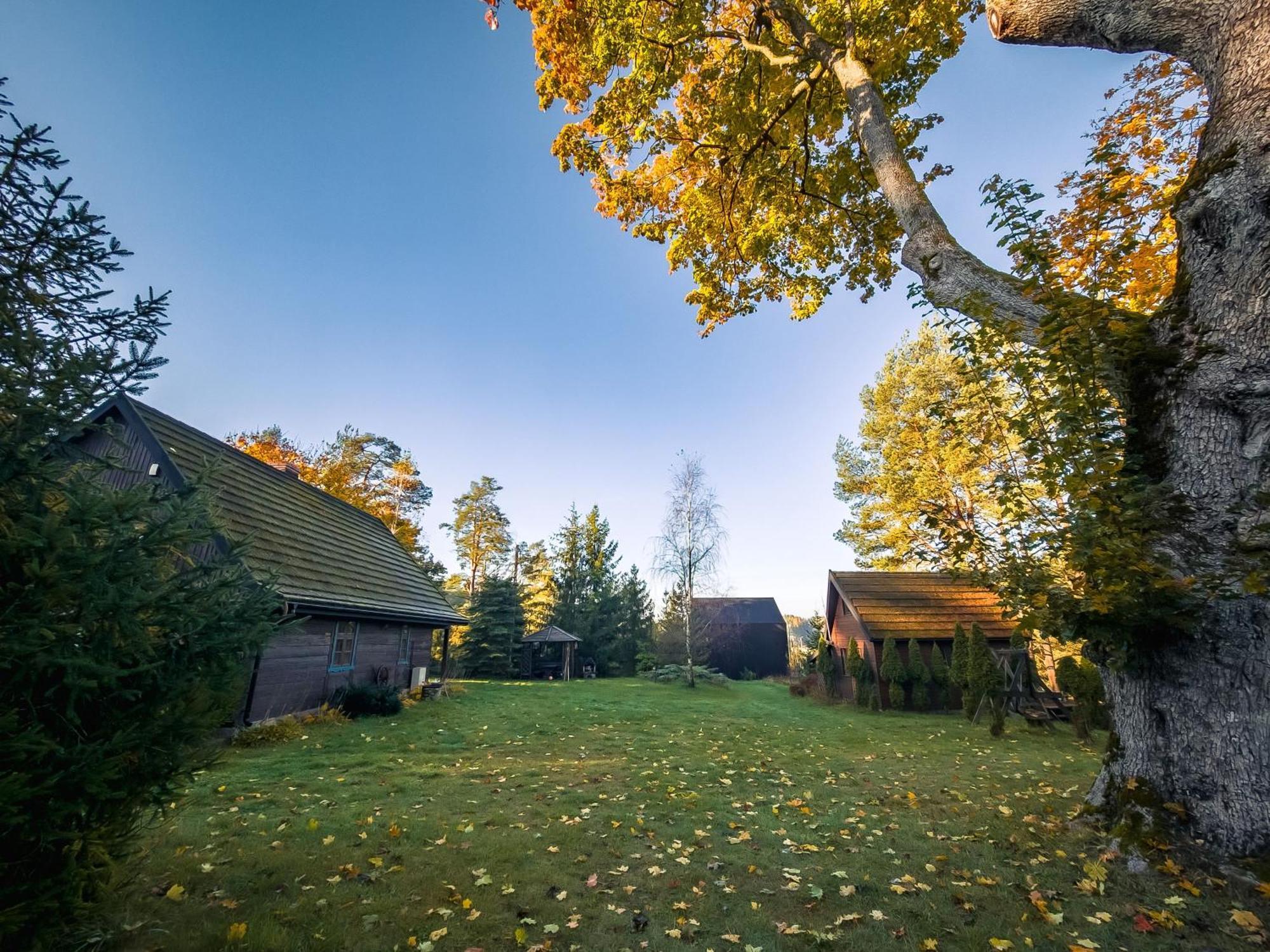 Dom Pod Klonem Na Kaszubach Villa Kościerzyna Exteriör bild