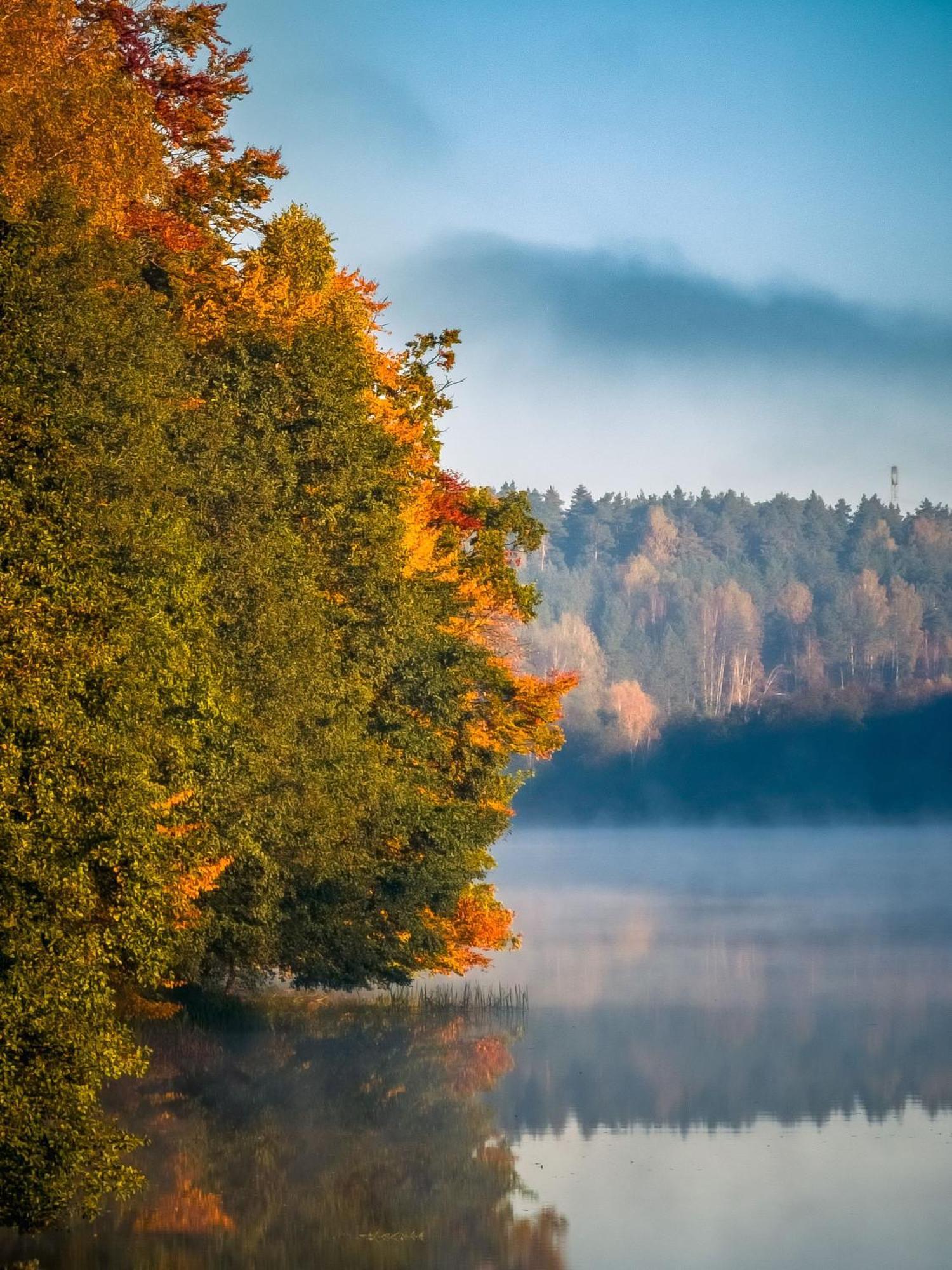 Dom Pod Klonem Na Kaszubach Villa Kościerzyna Exteriör bild