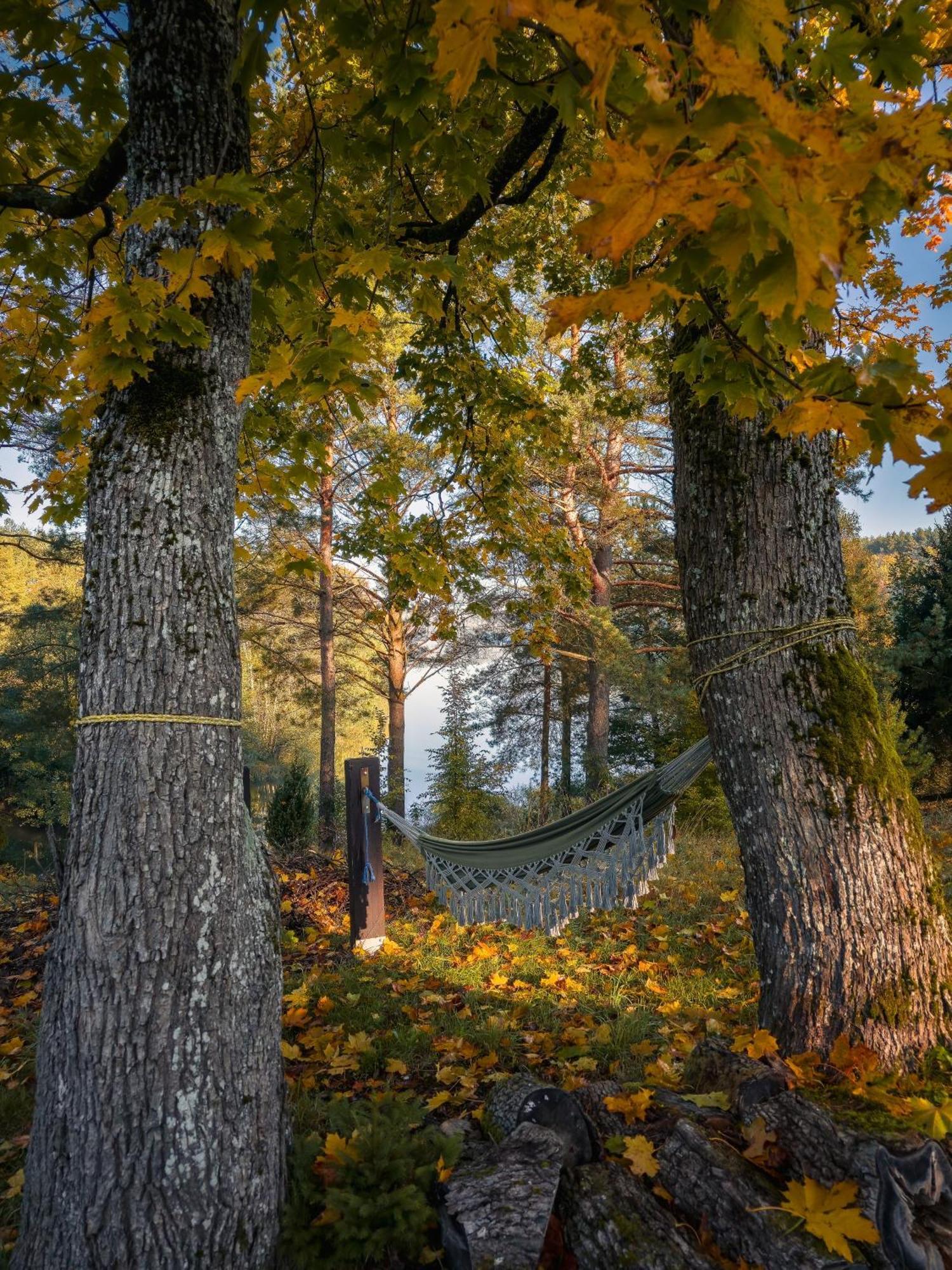 Dom Pod Klonem Na Kaszubach Villa Kościerzyna Exteriör bild