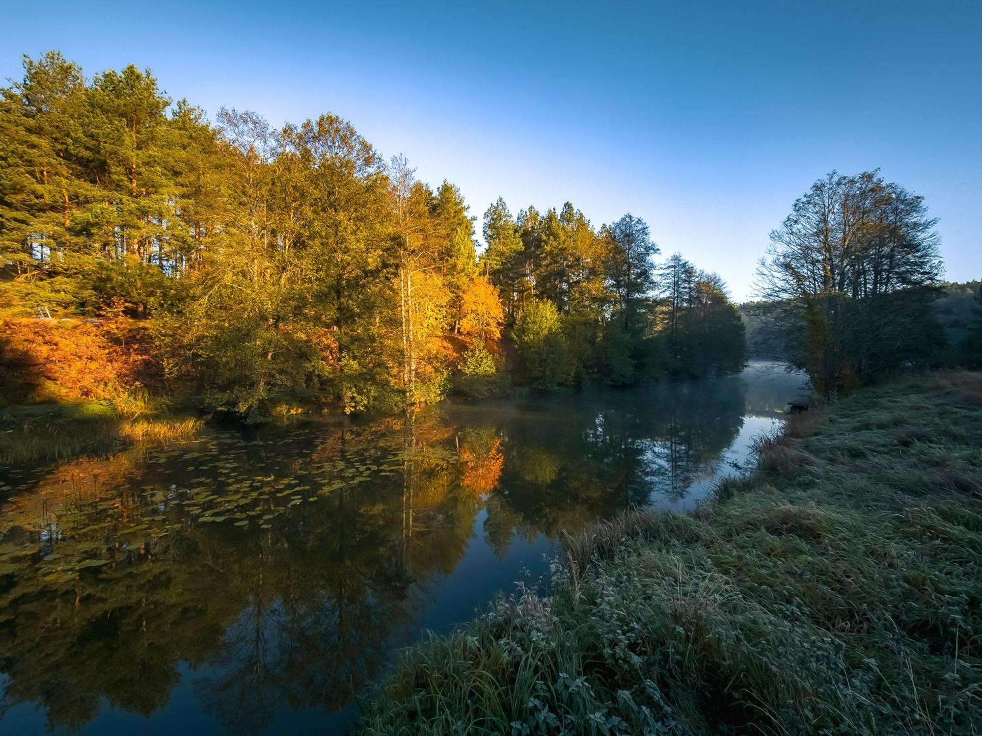 Dom Pod Klonem Na Kaszubach Villa Kościerzyna Exteriör bild