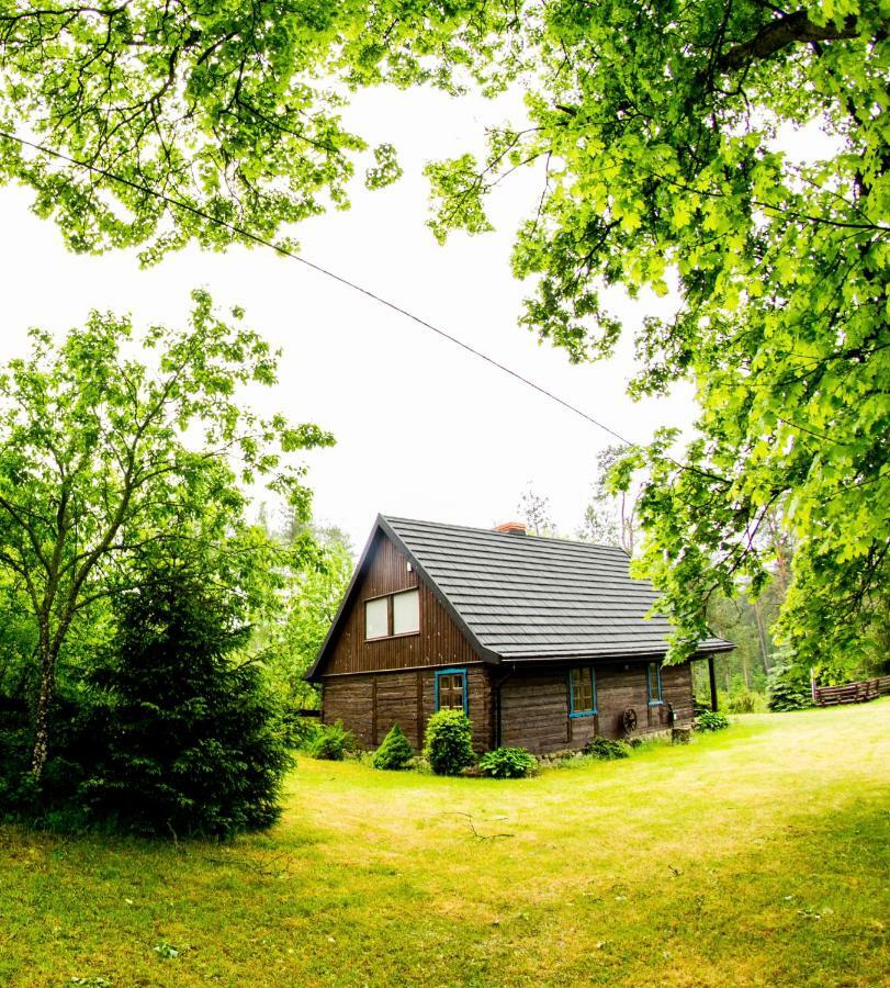Dom Pod Klonem Na Kaszubach Villa Kościerzyna Exteriör bild
