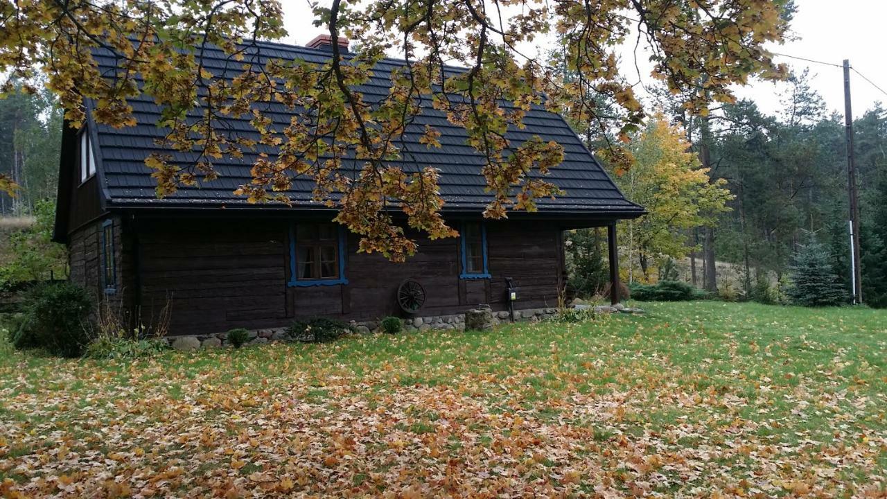 Dom Pod Klonem Na Kaszubach Villa Kościerzyna Exteriör bild